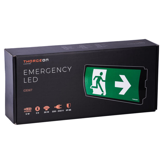 5W, 50lm, Emergency LED, IP65, IK08, with 3h battery, Black LED Safety light THORGEON