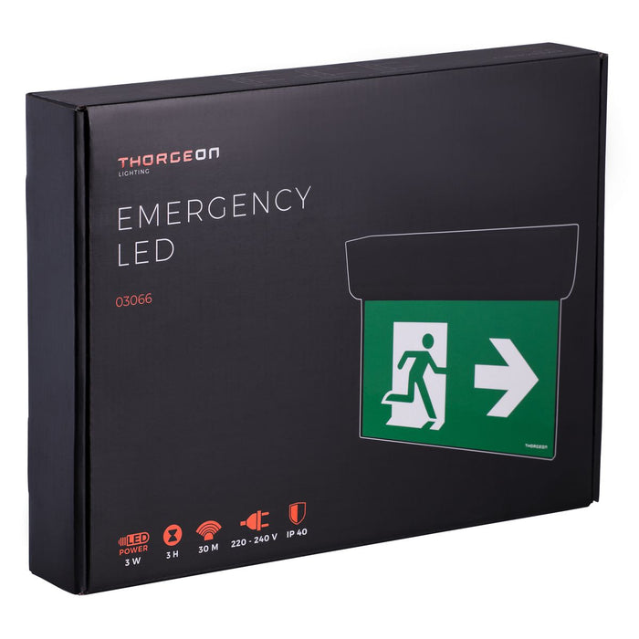 3W, 100lm, Emergency LED IP40, IK05, with 3h battery, Black LED Safety light THORGEON